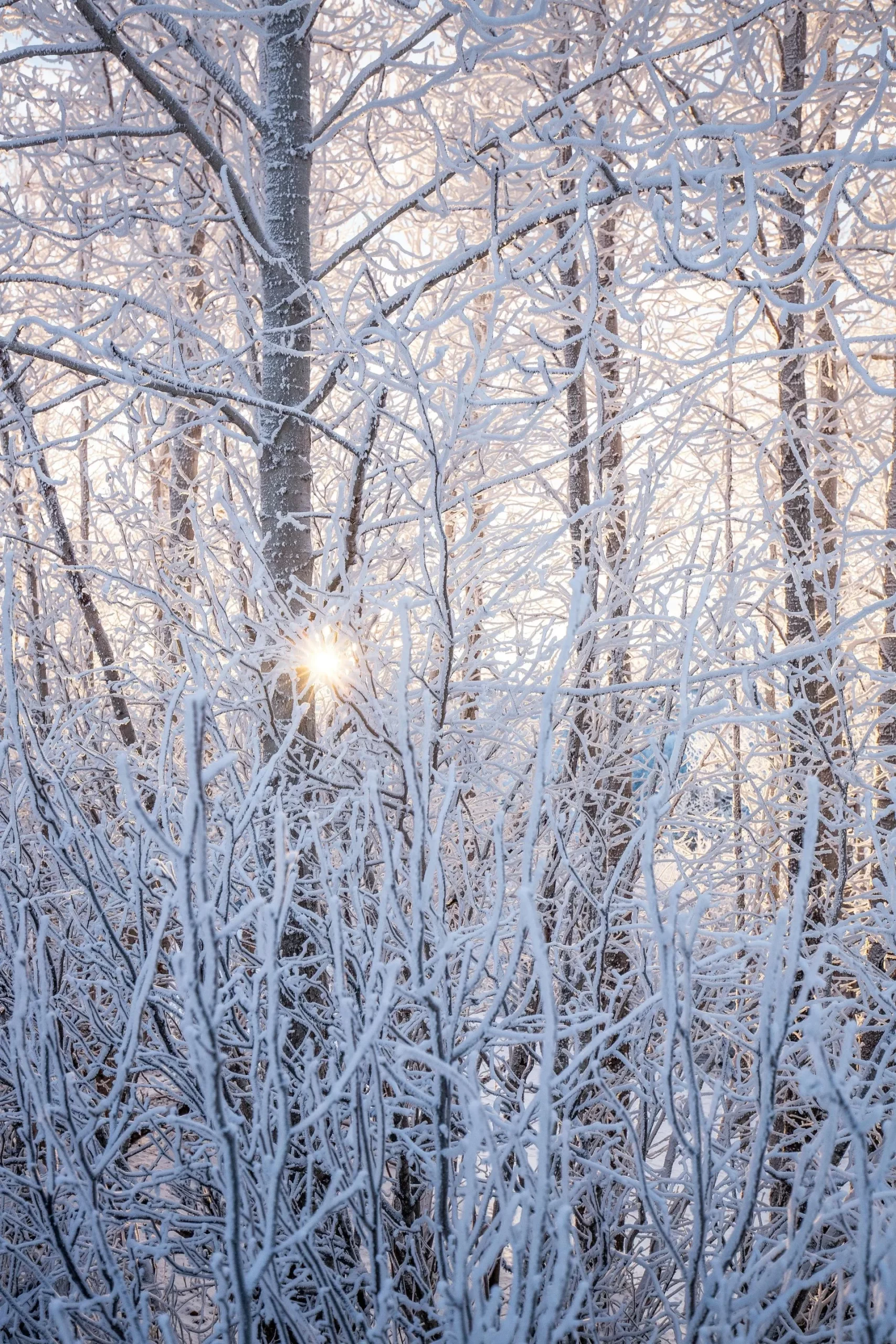 An In-Depth Overview of Colorado’s Climate: What You Need to Know