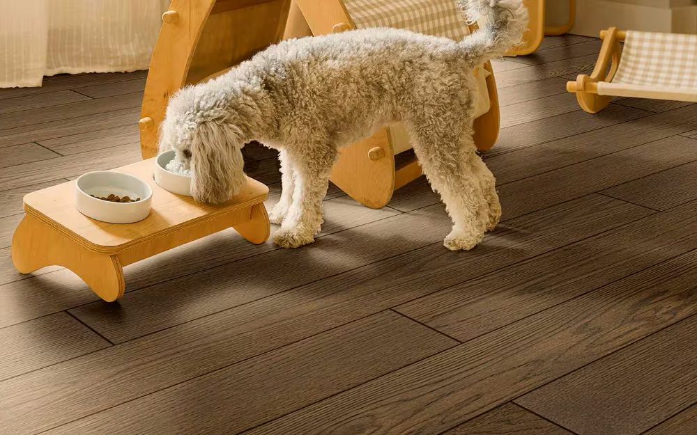 Which Flooring Is Best for Homes With Pets in Centennial, Co?