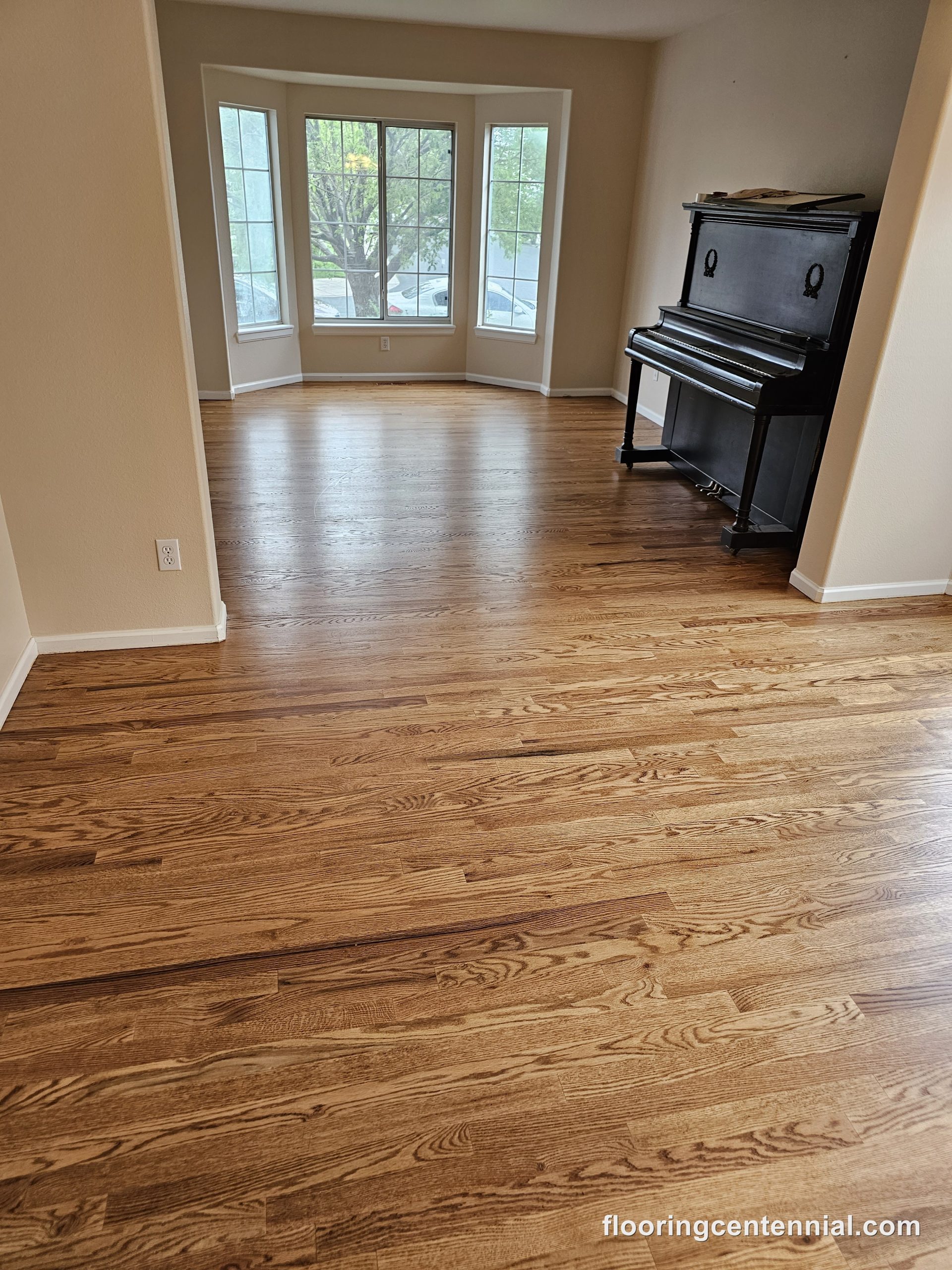 floor-and-more-project-2023-06-07-01