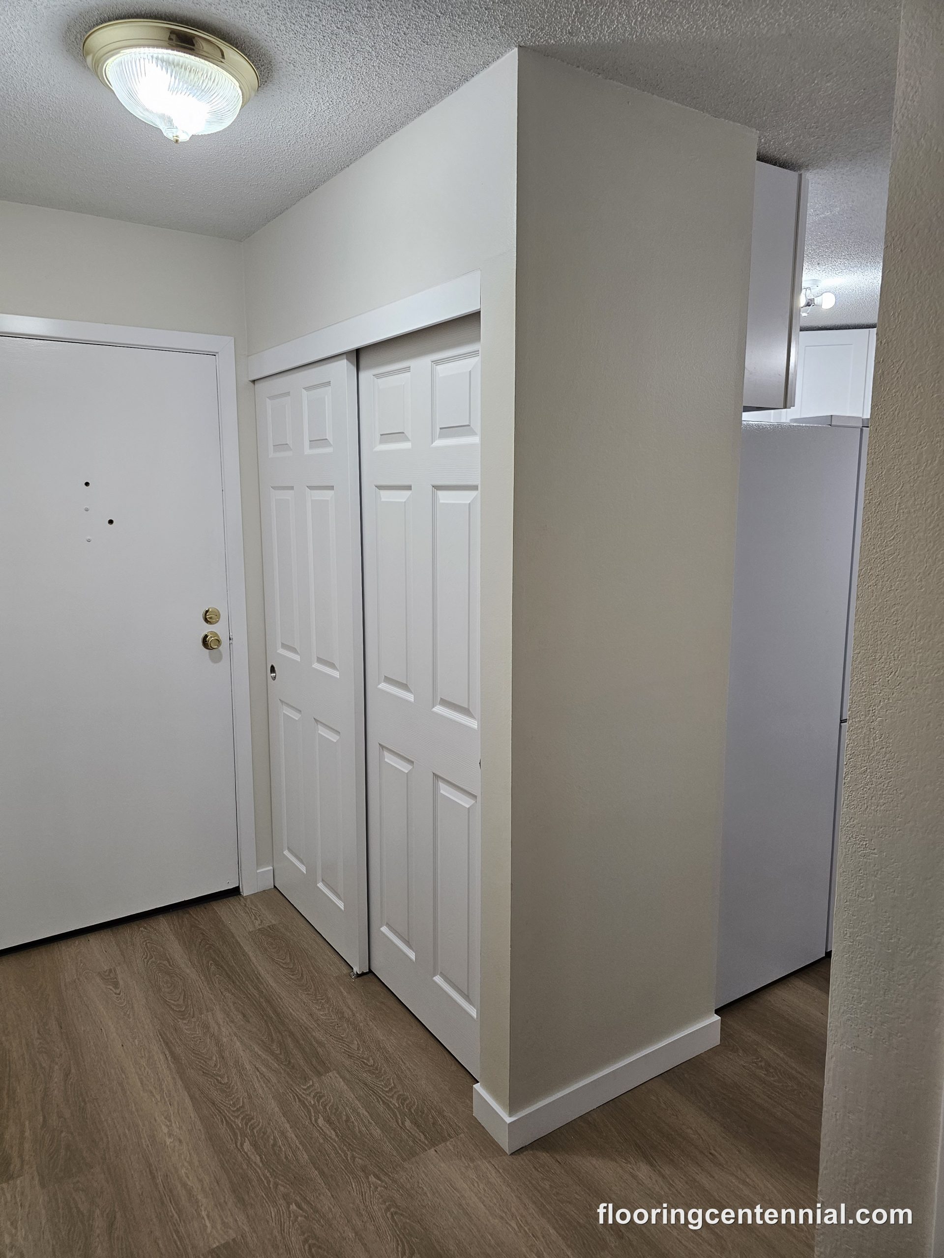 Which Flooring Is Best for Homes With Pets in Centennial, Co?
