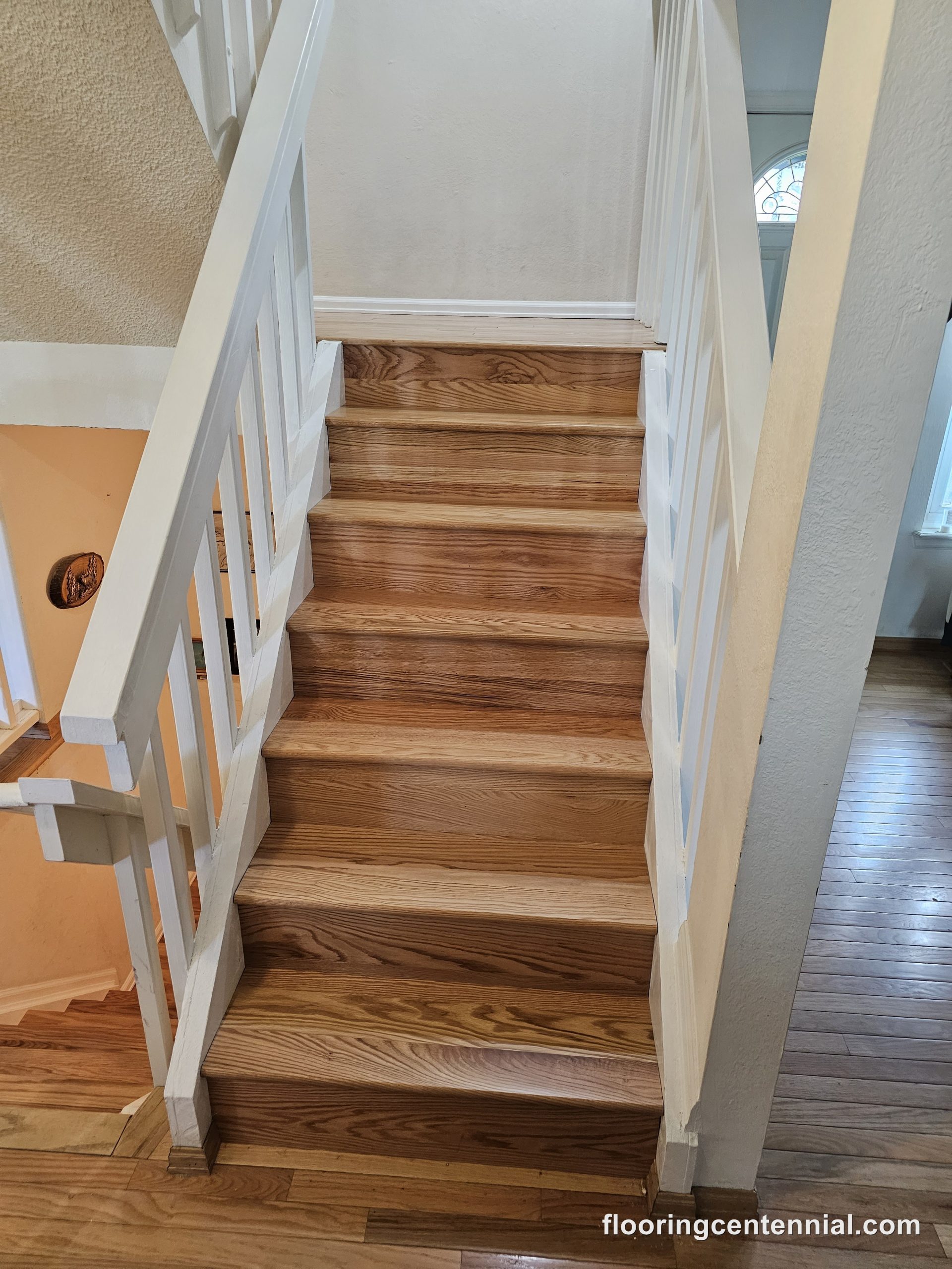 floor-and-more-project-2023-08-03-01